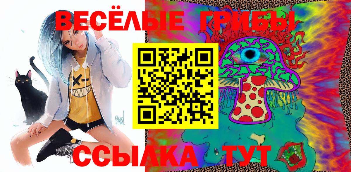Галлюциногенные грибы мухоморы  Галлюциногенные грибы ЛСД  Магадан  Вход с VPN 