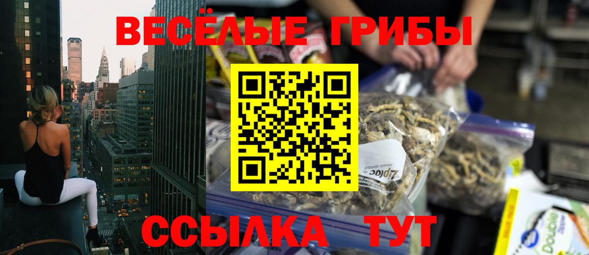 Галлюциногенные грибы Magic Shrooms Магадан
